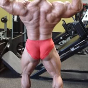 2010 Bodybuilding Images