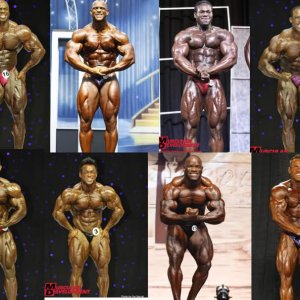 2010 Bodybuilding Images