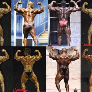 2010 Bodybuilding Images