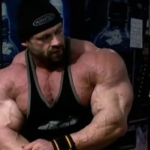 2010 Bodybuilding Images