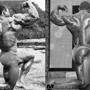 2010 Bodybuilding Images