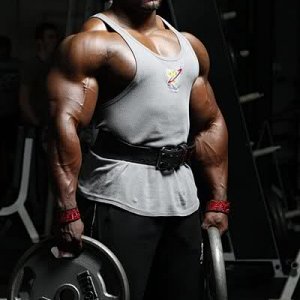 2010 Bodybuilding Images