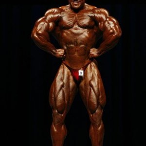 2010 Bodybuilding Images