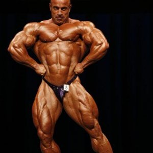 2010 Bodybuilding Images