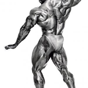 2010 Bodybuilding Images