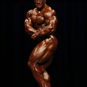 2010 Bodybuilding Images