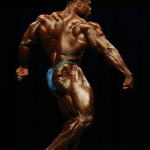 2010 Bodybuilding Images