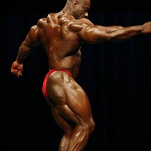 2010 Bodybuilding Images