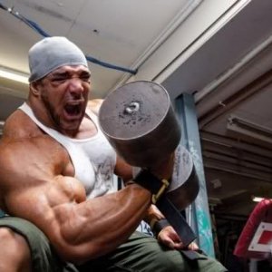 2010 Bodybuilding Images