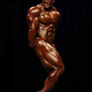 2010 Bodybuilding Images