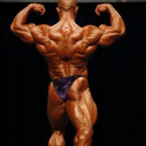 2010 Bodybuilding Images