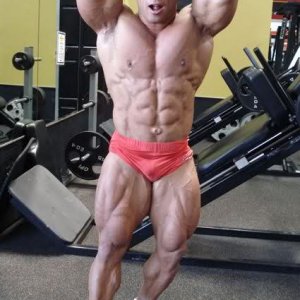 2010 Bodybuilding Images