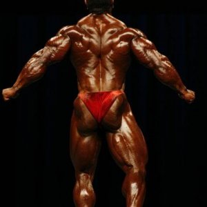 2010 Bodybuilding Images