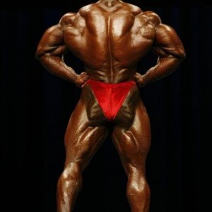 2010 Bodybuilding Images