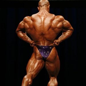 2010 Bodybuilding Images