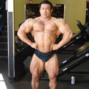 2010 Bodybuilding Images