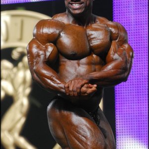 2010 Bodybuilding Images