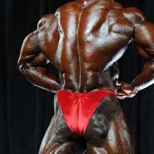 2010 Bodybuilding Images