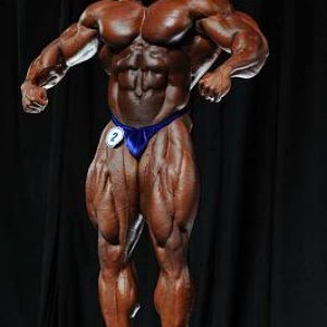 2010 Bodybuilding Images