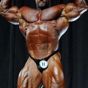 2010 Bodybuilding Images