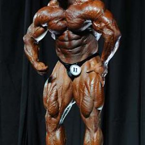 2010 Bodybuilding Images