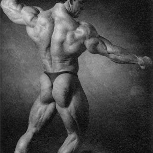 2010 Bodybuilding Images