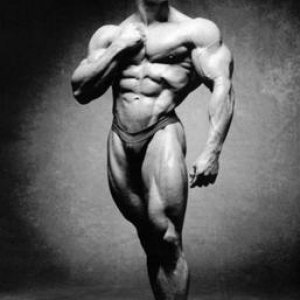 2010 Bodybuilding Images