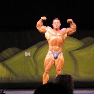 2010 Bodybuilding Images