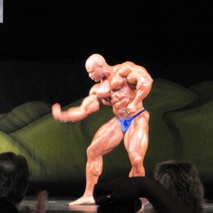 2010 Bodybuilding Images