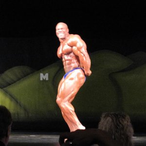 2010 Bodybuilding Images