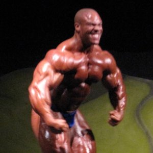 2010 Bodybuilding Images