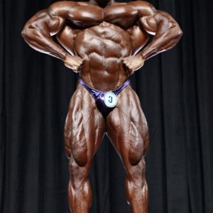 2010 Bodybuilding Images