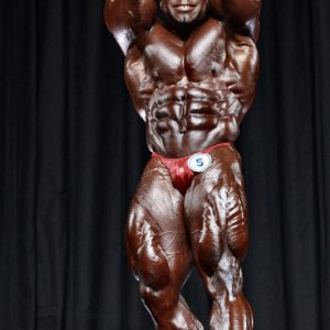 2010 Bodybuilding Images