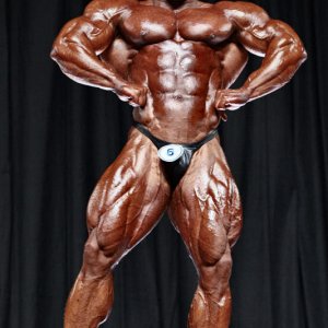 2010 Bodybuilding Images