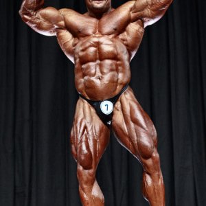 2010 Bodybuilding Images