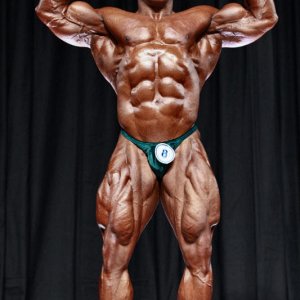 2010 Bodybuilding Images