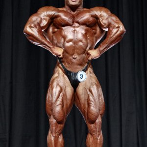 2010 Bodybuilding Images