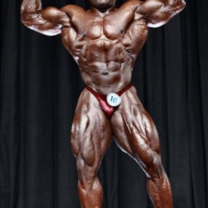 2010 Bodybuilding Images