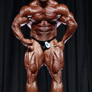 2010 Bodybuilding Images