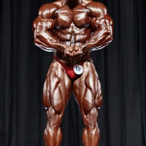 2010 Bodybuilding Images