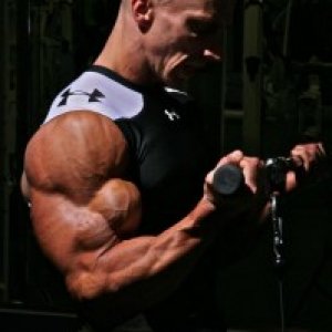 2010 Bodybuilding Images