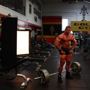 2010 Bodybuilding Images