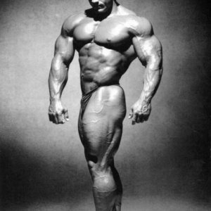 2010 Bodybuilding Images