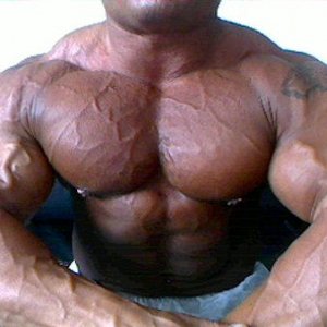 2010 Bodybuilding Images