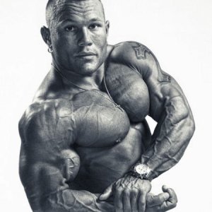 2010 Bodybuilding Images