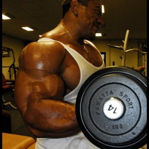 2010 Bodybuilding Images