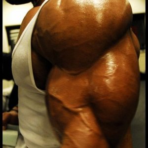 2010 Bodybuilding Images