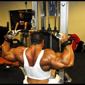 2010 Bodybuilding Images