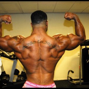 2010 Bodybuilding Images