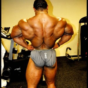 2010 Bodybuilding Images